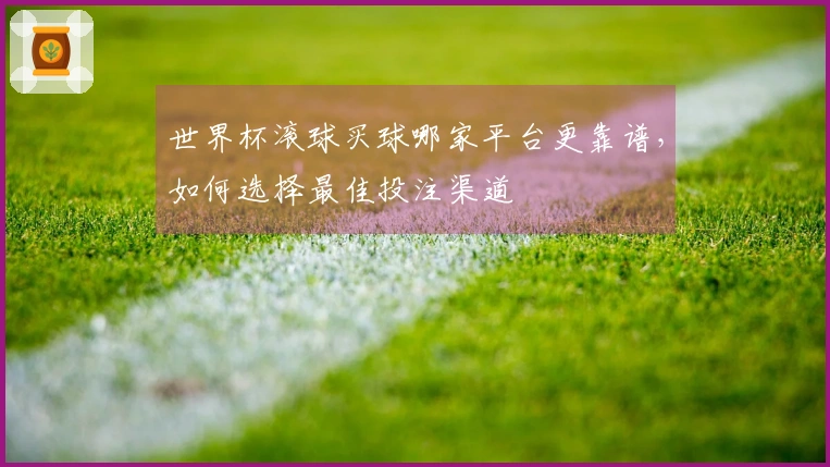 世界杯滚球买球哪家平台更靠谱，如何选择最佳投注渠道