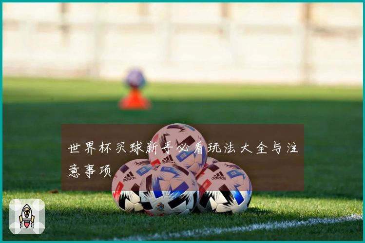 世界杯买球新手必看玩法大全与注意事项
