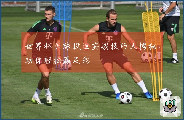 世界杯买球投注实战技巧大揭秘，助你轻松赢足彩