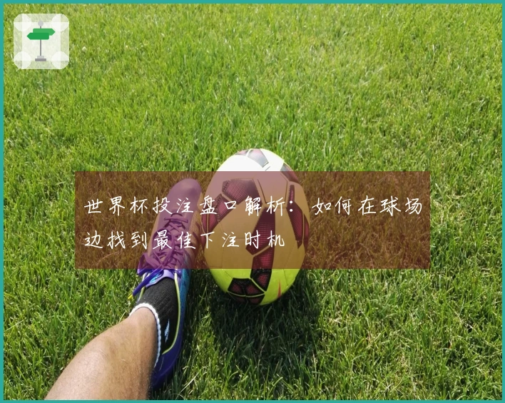 世界杯投注盘口解析：如何在球场边找到最佳下注时机