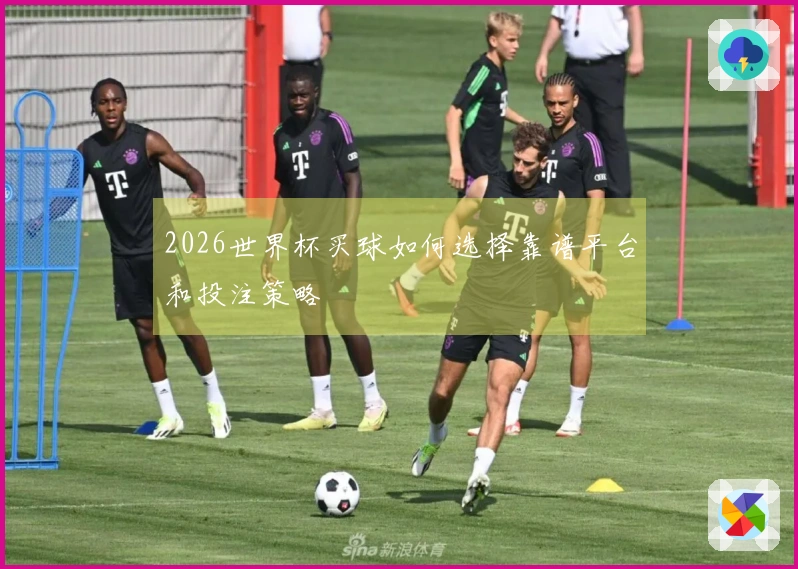 2026世界杯买球如何选择靠谱平台和投注策略